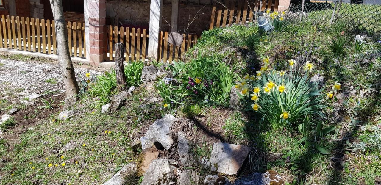 Mirni Kutak Villa Donje Pazariste Dış mekan fotoğraf