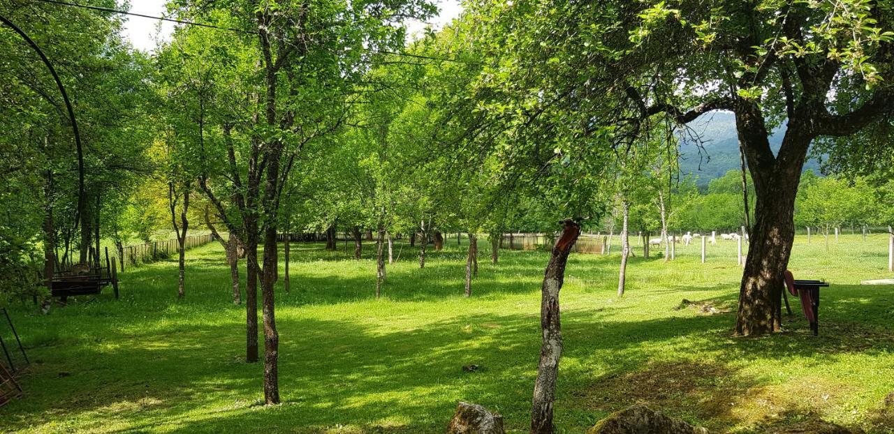 Mirni Kutak Villa Donje Pazariste Dış mekan fotoğraf
