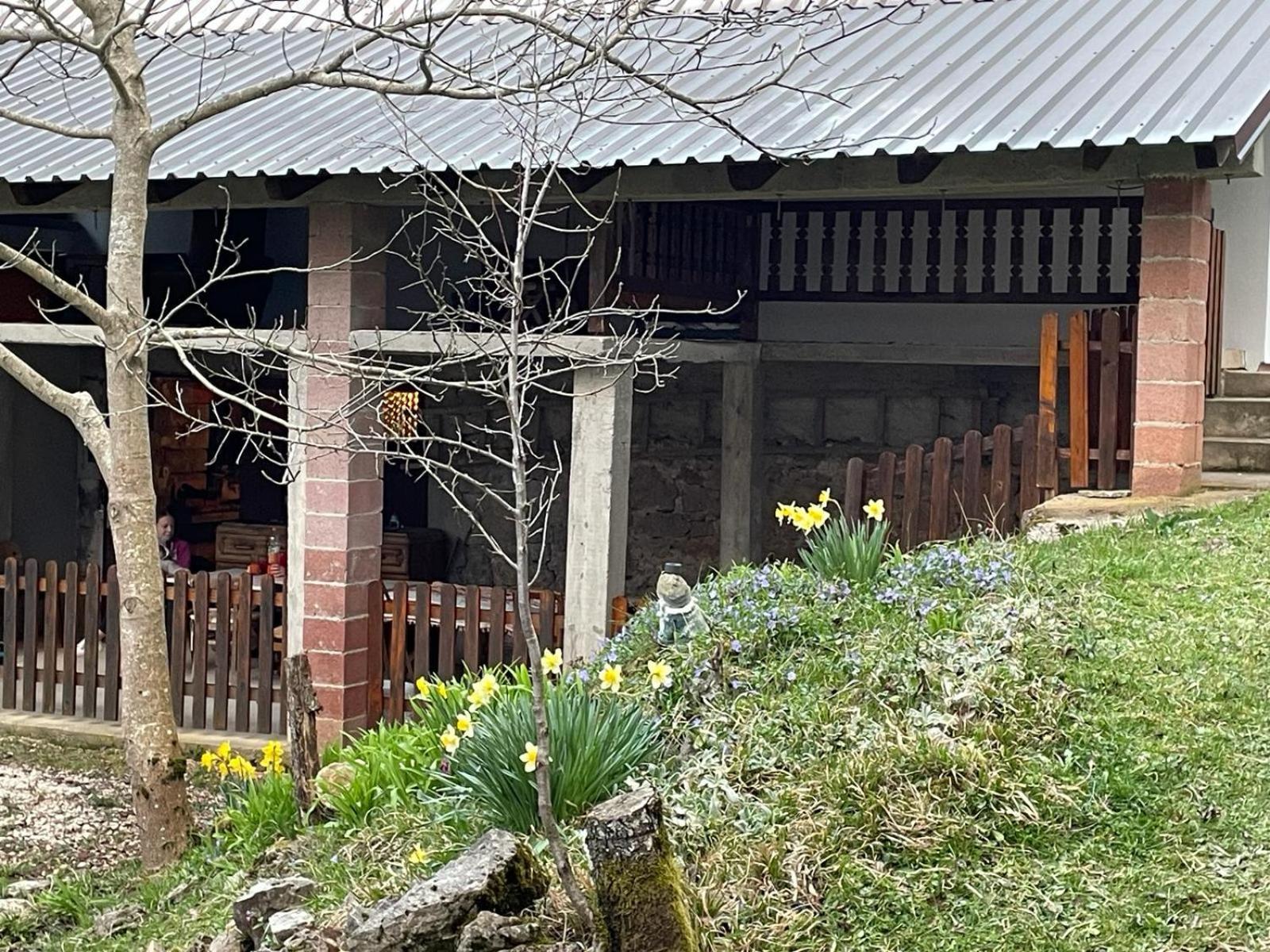 Mirni Kutak Villa Donje Pazariste Dış mekan fotoğraf