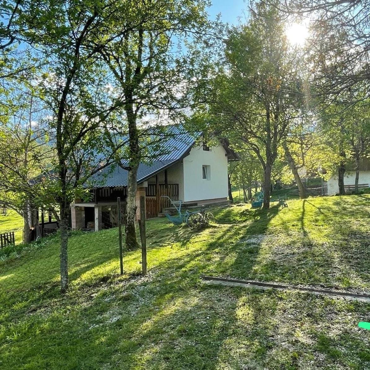 Mirni Kutak Villa Donje Pazariste Dış mekan fotoğraf